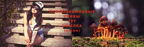 эйфоретик Богданович