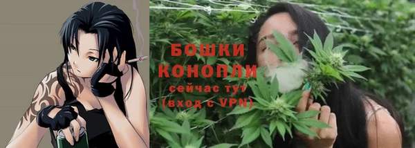 хмурый Волосово