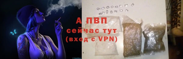 винт Нея