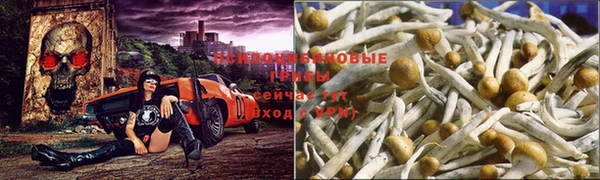 экстази Богородицк
