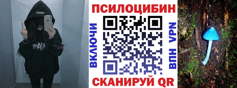 продажа наркотиков  Верхотурье  Галлюциногенные грибы прущие грибы 